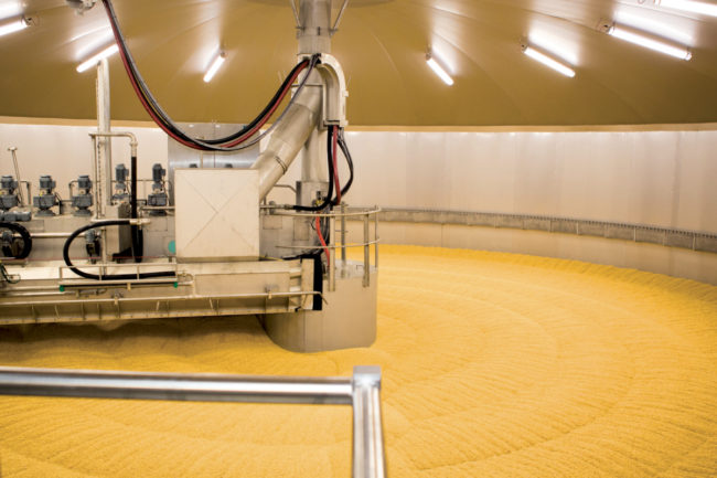 barley malting