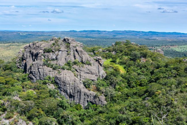 Brazil Cerrado