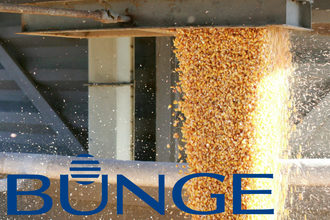 Bunge