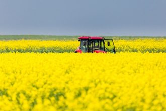 canola-field_-AGATA-KADAR--STOCK.ADOBE.COM_e.jpg