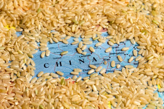 China rice_cr ©JJ GOUIN - STOCK.ADOBE.COM.jpg