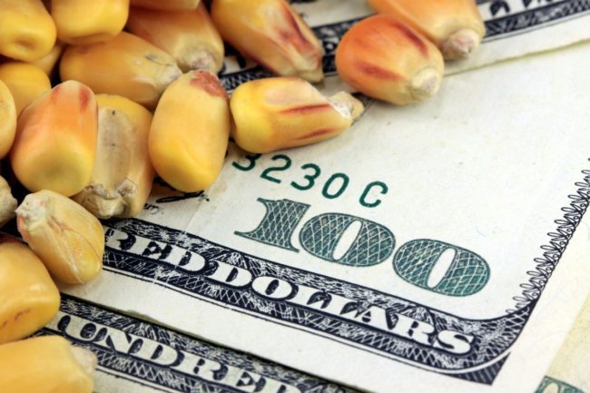 corn money_cr ©LARRYHW - STOCK-ADOBE.COM_e.jpg