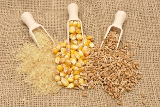 corn wheat rice_©SAVANNO - STOCK.ADOBE.COM_e.jpg