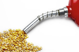 Ethanol Corn