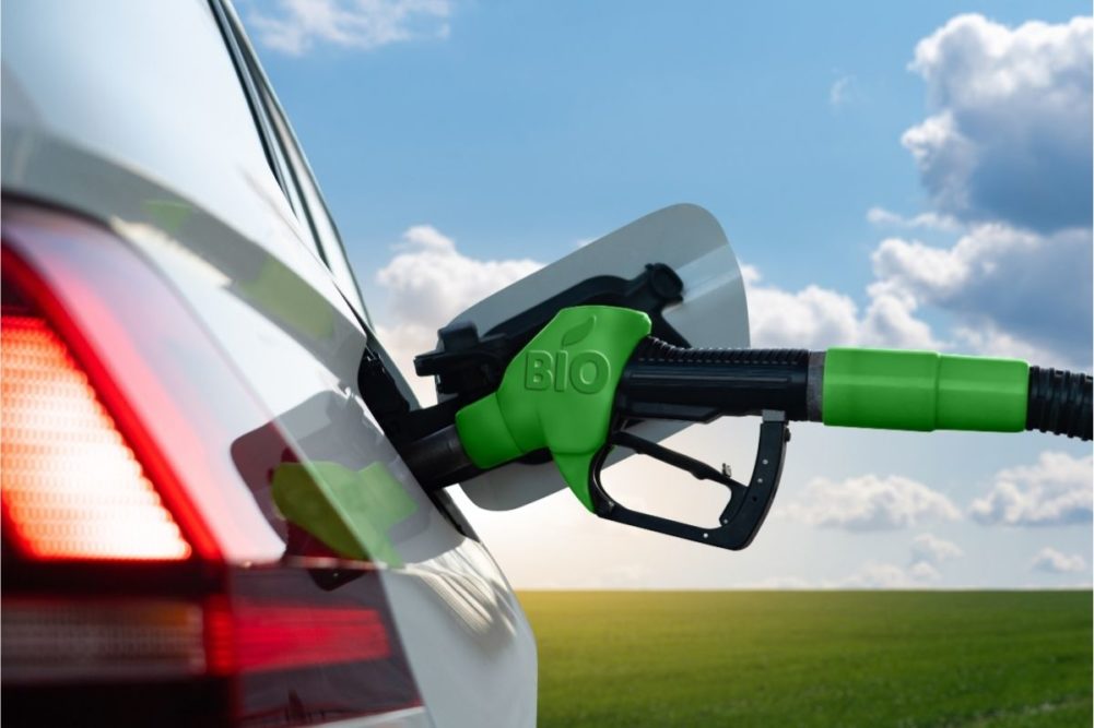 Ethanol_biofuels_©SCHARFSINN86 - STOCK.ADOBE.COM_e.jpg