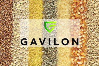 Gavilon