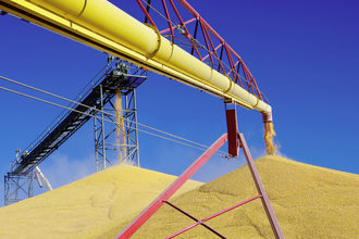 grain pile