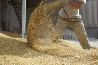 grain handling