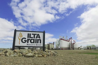 ILTA Grain