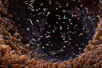 Intestinal bacteria Microbiome_©TATIANA SHEPELEVA_e.jpg