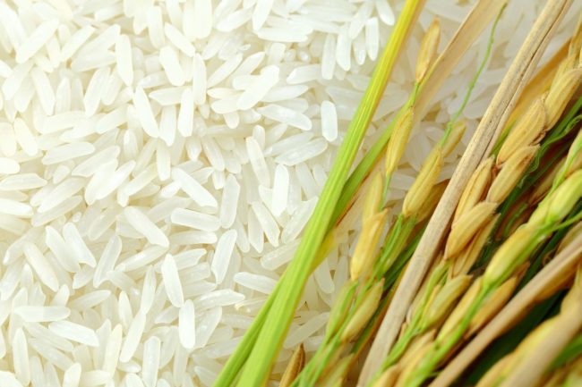 rice_©YAIBUABANN - STOCK.ADOBE.COM_e.jpg