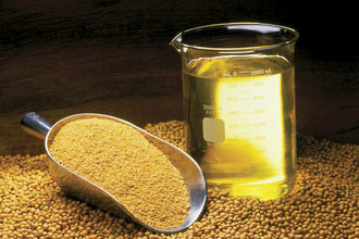 Soybean Oil