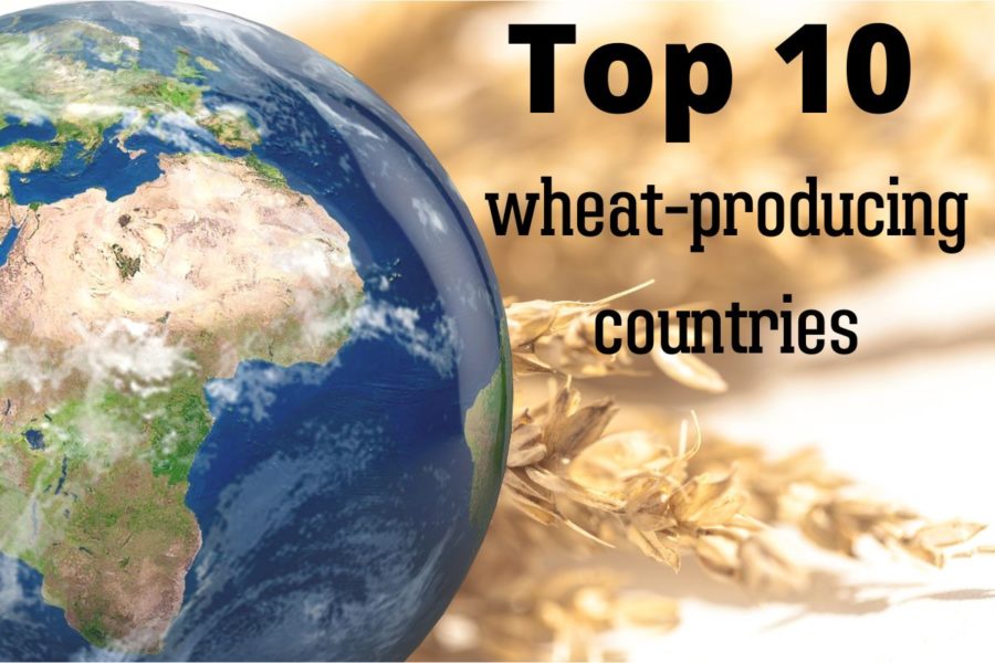 Top 10 wheat producing countries