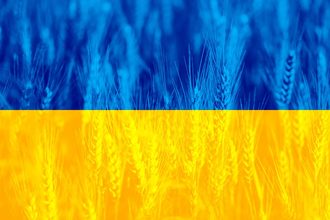 Ukraine flag wheat background_cr Adobe Stock_E.jpg