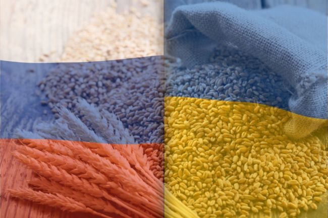 Ukraine russia flags wheat cr adobe stock e