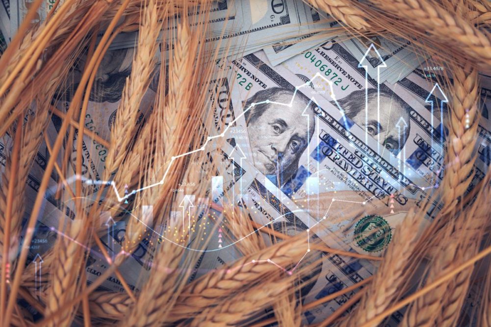 Wheat grain economy_©MIHA CREATIVE - STOCK.ADOBE.COM_e.jpg