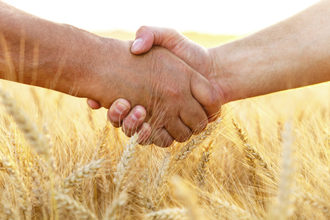 Wheat_Handshake_AdobeStock_114444206_E.jpg