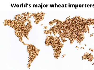 World's major wheat import regions