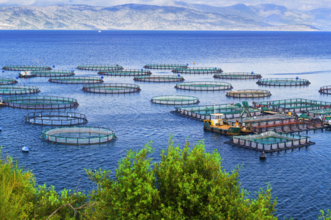 Aquaculture_AdobeStock_135467159_E.png