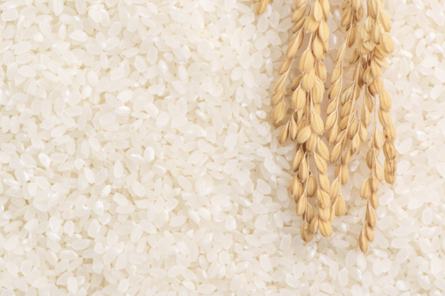 Rice_AdobeStock_304062325_E.png